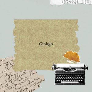 ginkgo